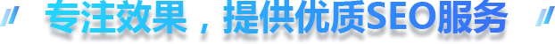 专注效果，提供优质SEO服务
